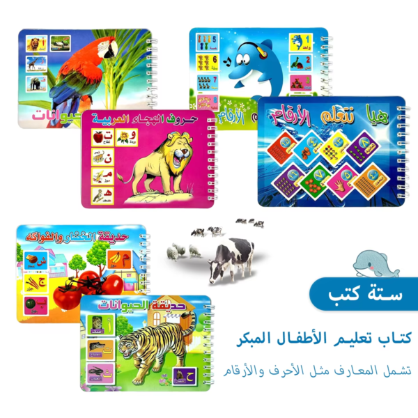 Number Alphabet Learning Colorful Illustration Books Arabic Edition